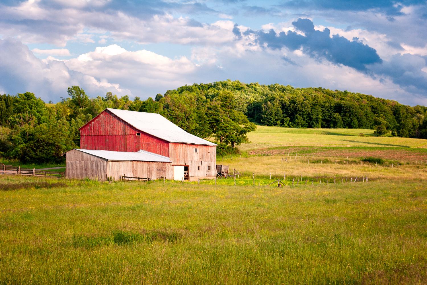 Photo of old, weathered barn on farm
