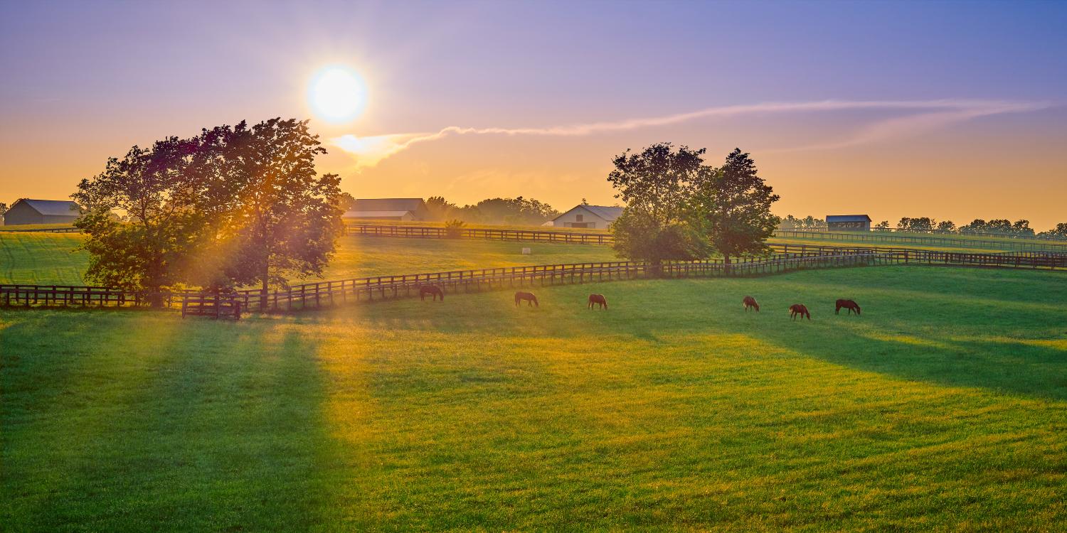 Photo of large farm with horses and house in background