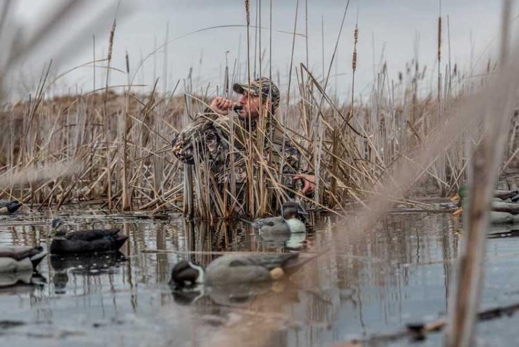 WATERFOWL POPULATION SURVEYS: HOW WILDLIFE MANAGERS ASSESS WATERFOWL POPULATIONS