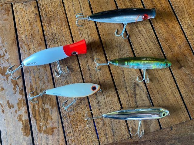 topwater lures for sea trout.jpg