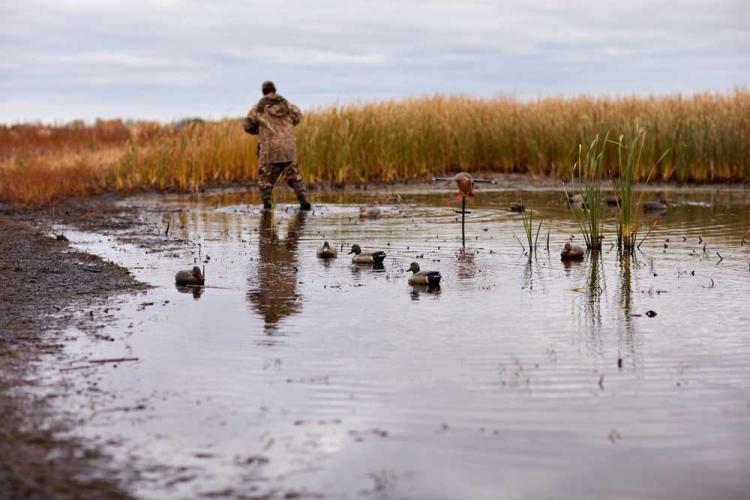 Duck Decoys