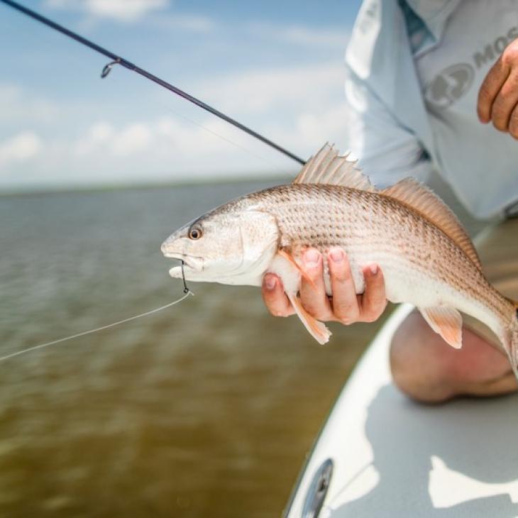 TOP RED DRUM FISHING IN THE SOUTH