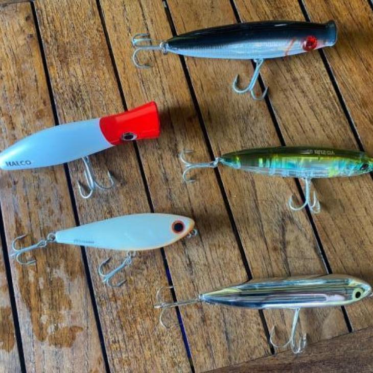 topwater lures for sea trout.jpg