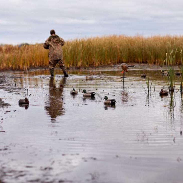 Duck Decoys