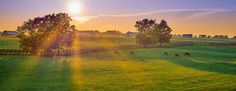 Photo of large farm with horses and house in background