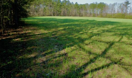 Photo #21 of SOLD property in OFF HWY 46, Garysburg, NC 138.8 acres