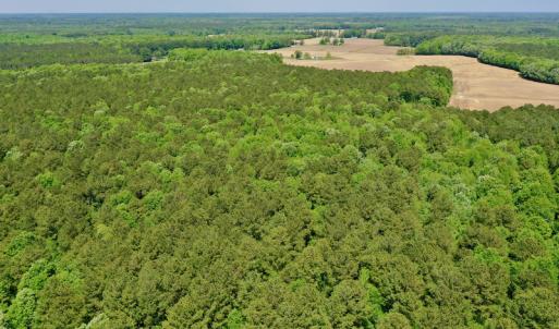 Photo #16 of SOLD property in Off Hwy 561, Saint John, NC 17.7 acres
