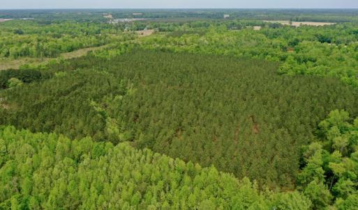 Photo #4 of SOLD property in off Windley Rd, Washington, NC 102.0 acres