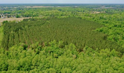 Photo #5 of SOLD property in off Windley Rd, Washington, NC 102.0 acres