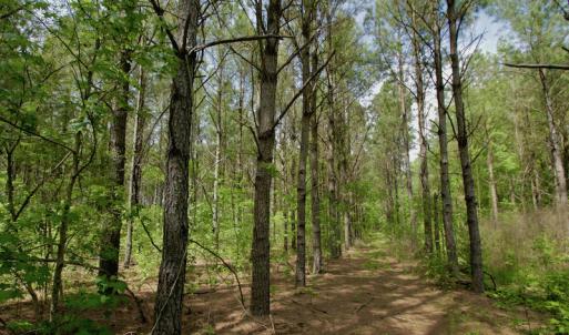 Photo #46 of SOLD property in off Windley Rd, Washington, NC 102.0 acres