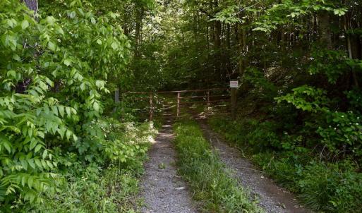 Photo #19 of SOLD property in Off Lewis Ford Road, Brookneal, VA 128.4 acres