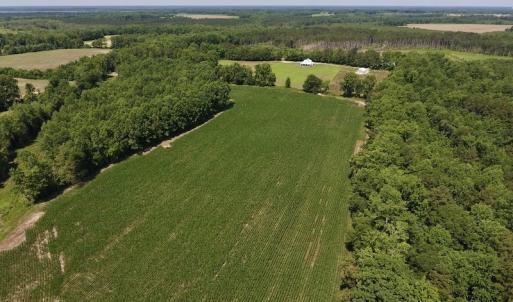 Photo #44 of SOLD property in 8510 Gates Road, Suffolk, VA 650.0 acres
