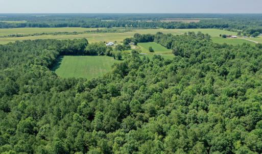 Photo #8 of SOLD property in 311 Yellow Hammer Road, Tyner, NC 74.0 acres
