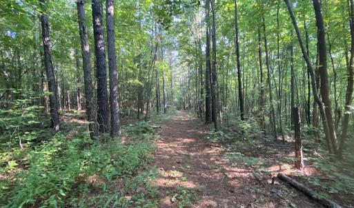 Photo #11 of SOLD property in Off Fletcher Chapel Road, Kenbridge, VA 76.0 acres