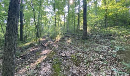 Photo #12 of SOLD property in Off Fletcher Chapel Road, Kenbridge, VA 76.0 acres