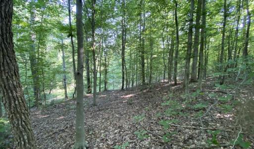 Photo #26 of SOLD property in Off Fletcher Chapel Road, Kenbridge, VA 76.0 acres