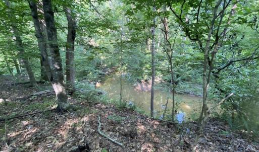 Photo #28 of SOLD property in Off Fletcher Chapel Road, Kenbridge, VA 76.0 acres