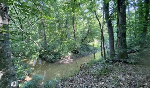 Photo #29 of SOLD property in Off Fletcher Chapel Road, Kenbridge, VA 76.0 acres