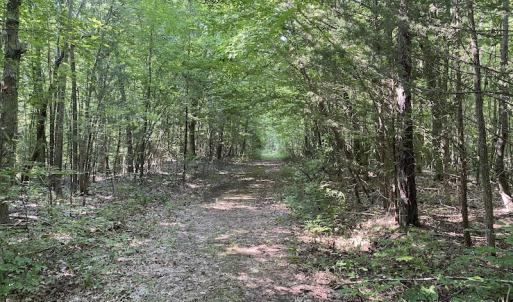 Photo #34 of SOLD property in Off Fletcher Chapel Road, Kenbridge, VA 76.0 acres