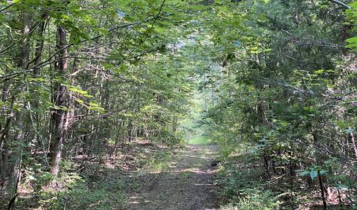 Photo #35 of SOLD property in Off Fletcher Chapel Road, Kenbridge, VA 76.0 acres