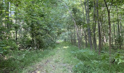 Photo #39 of SOLD property in Off Fletcher Chapel Road, Kenbridge, VA 76.0 acres