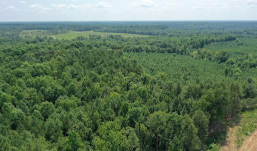 Photo #4 of SOLD property in Off Adcock Road, Enfield, NC 58.0 acres
