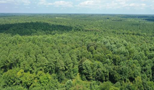 Photo #9 of SOLD property in Off Adcock Road, Enfield, NC 58.0 acres