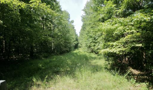 Photo #33 of SOLD property in Off Adcock Road, Enfield, NC 58.0 acres