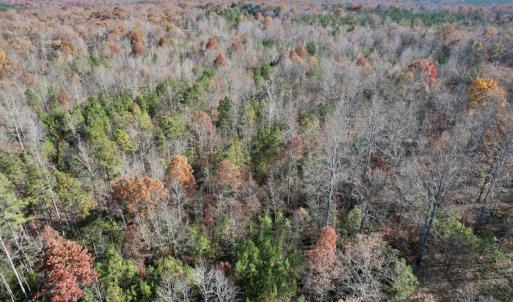Photo #19 of SOLD property in Off Middlebrook Dr, Doswell, VA 13.8 acres