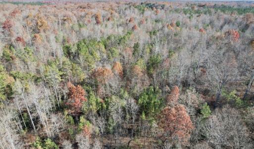 Photo #20 of SOLD property in Off Middlebrook Dr, Doswell, VA 13.8 acres