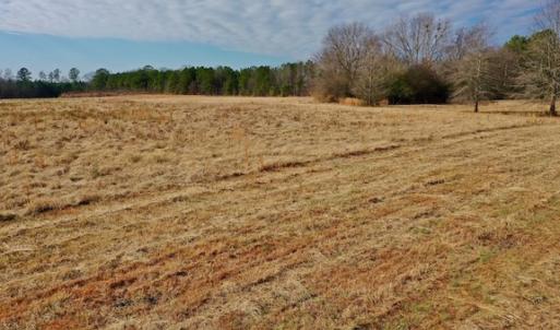 Photo #36 of SOLD property in Off Bolton Road, Rich Square, NC 38.5 acres