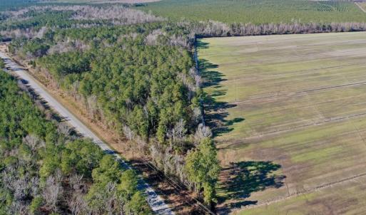 Photo #2 of SOLD property in Off Highway 304, Bayboro, NC 0.6 acres