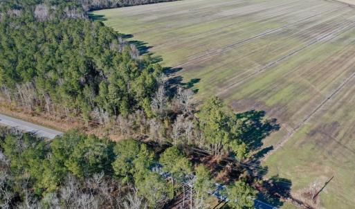 Photo #11 of SOLD property in Off Highway 304, Bayboro, NC 0.6 acres