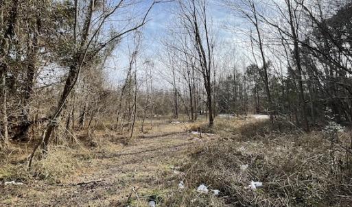 Photo #10 of SOLD property in Off Old Neck Road, Exmore, VA 3.7 acres