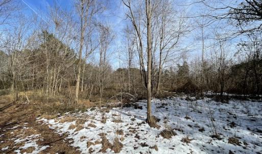 Photo #13 of SOLD property in Off Old Neck Road, Exmore, VA 3.7 acres