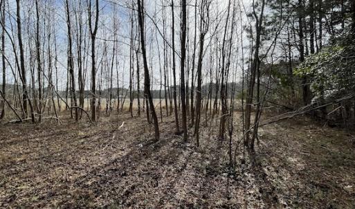 Photo #14 of SOLD property in Off Old Neck Road, Exmore, VA 3.7 acres