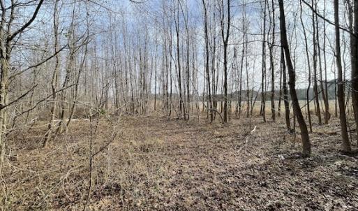 Photo #15 of SOLD property in Off Old Neck Road, Exmore, VA 3.7 acres