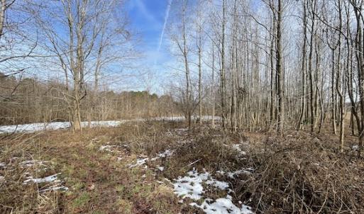 Photo #18 of SOLD property in Off Old Neck Road, Exmore, VA 3.7 acres