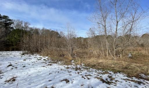 Photo #20 of SOLD property in Off Old Neck Road, Exmore, VA 3.7 acres