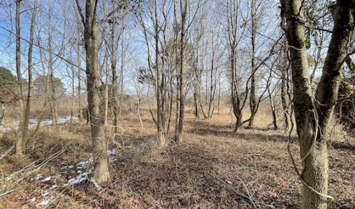 Photo #22 of SOLD property in Off Old Neck Road, Exmore, VA 3.7 acres