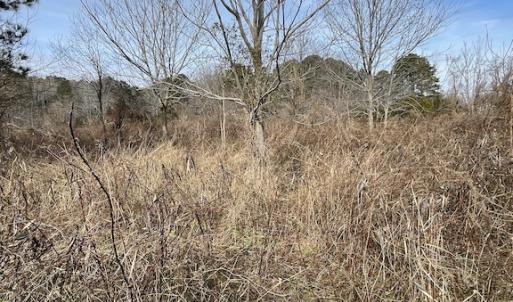 Photo #27 of SOLD property in Off Old Neck Road, Exmore, VA 3.7 acres