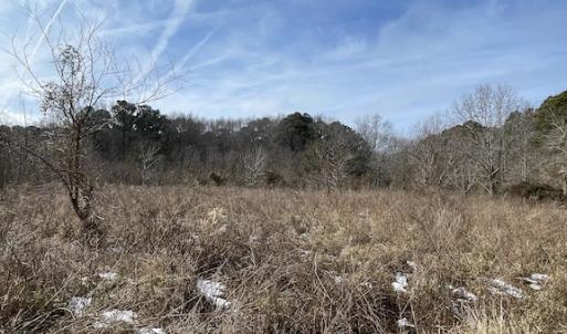 Photo #29 of SOLD property in Off Old Neck Road, Exmore, VA 3.7 acres