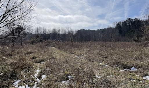 Photo #3 of SOLD property in Off Old Neck Road, Exmore, VA 3.7 acres