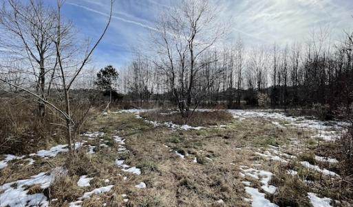 Photo #30 of SOLD property in Off Old Neck Road, Exmore, VA 3.7 acres