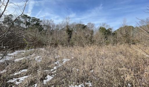 Photo #31 of SOLD property in Off Old Neck Road, Exmore, VA 3.7 acres