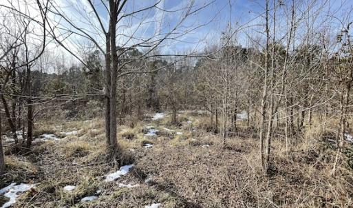 Photo #32 of SOLD property in Off Old Neck Road, Exmore, VA 3.7 acres