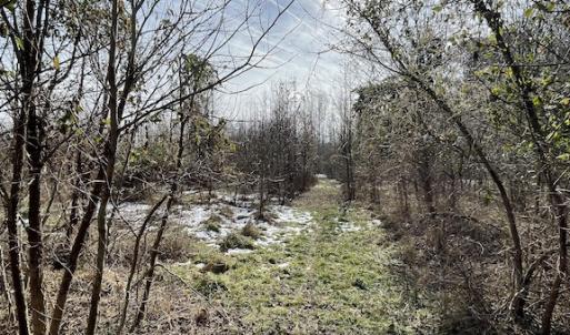 Photo #7 of SOLD property in Off Old Neck Road, Exmore, VA 3.7 acres