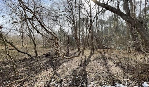 Photo #9 of SOLD property in Off Old Neck Road, Exmore, VA 3.7 acres