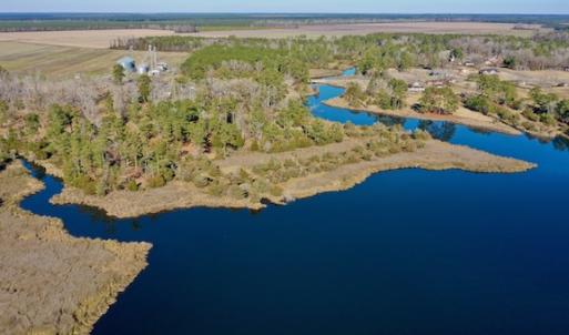 Photo #7 of SOLD property in Off Highway 304, Bayboro, NC 16.6 acres