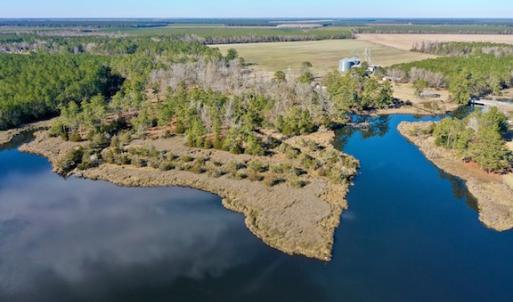 Photo #9 of SOLD property in Off Highway 304, Bayboro, NC 16.6 acres